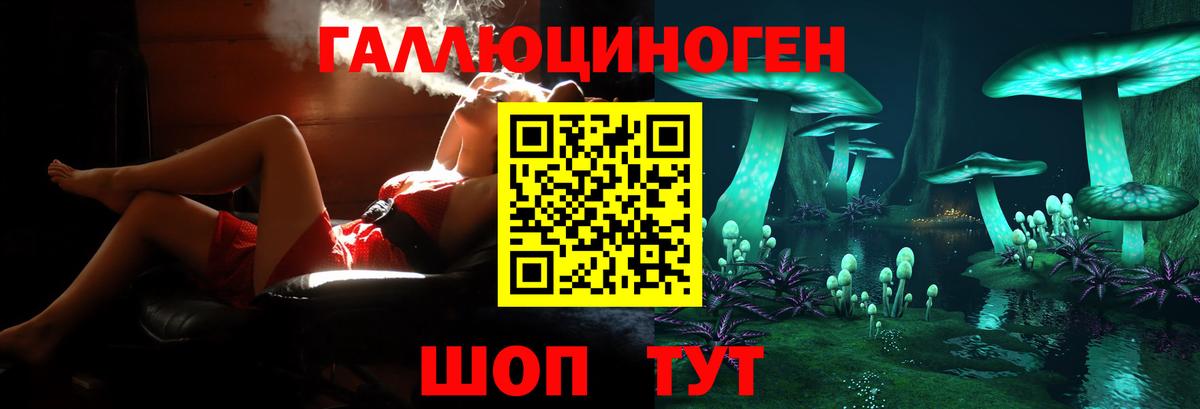 Галлюциногенные грибы GOLDEN TEACHER  Вход с VPN  Касимов 
